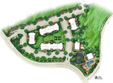 Illustrated Siteplan Architectural Rendering
