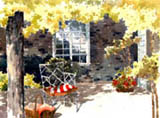 Garden in California Architectural Illustration